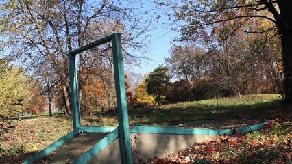 What's Left - Boblo Island Amusement Park