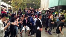 imperial college London -- Imperial Style-- Flash Mob -- 酷炫