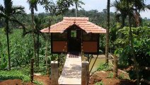 Wayanad - Kerala state, India