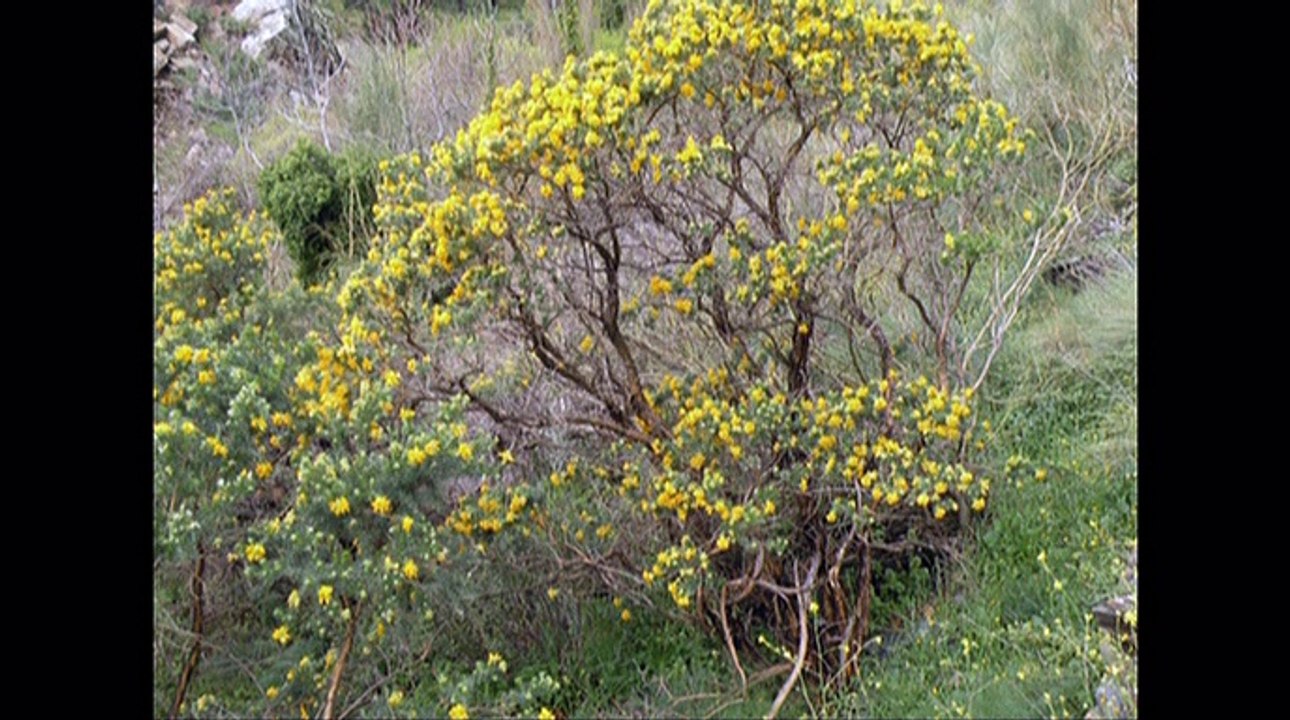 Salida_12042015