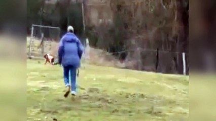 Little girl attacked by an ostrich - Niña pequeña atacada por una avestruz