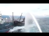 Sea Shepherd rams Japanese whaling ship