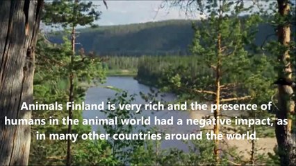 Nature, geography and history of Finland