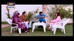 Bulbulay Episode 343 on Ary Digital 12th April 2015