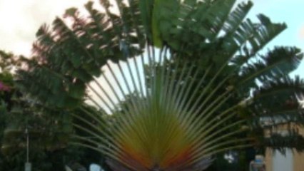 AGAG 2009 chez Jacqueline Gobert (15 novembre)