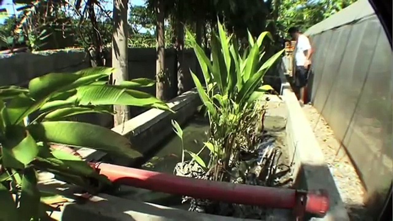 AMAZING ECO HOUSE. RECYCLED MATERIALS, CEBU, PHILIPPINES