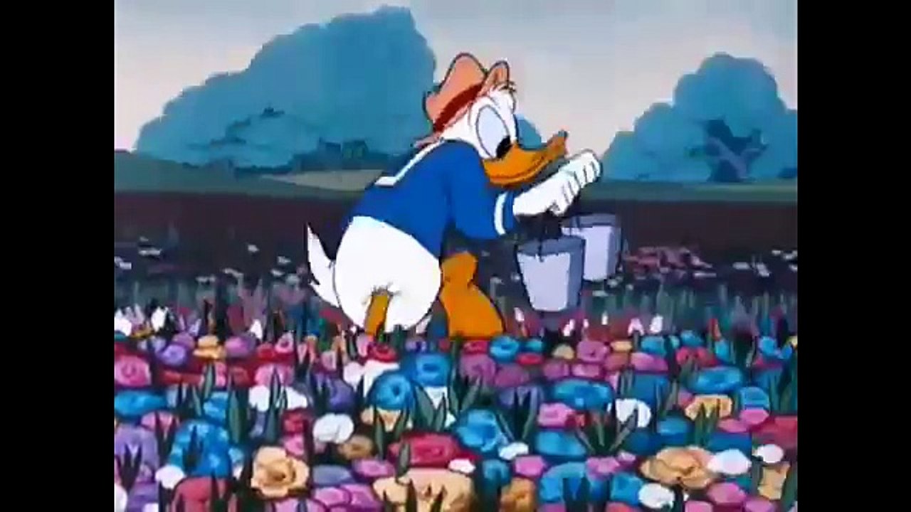 Donald Duck Episodes Bee On Guard - Disney Classic Collection Kids Cartoon