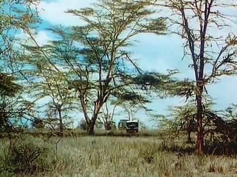 Deborah Kerr and Stewart Granger