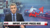 Import, export prices rise in March on weakening won