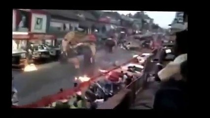 Dangerous Animals Attack Human