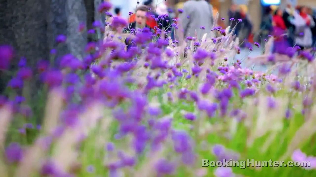 Prague, Czech Republic Travel Guide - Must-See Tourism Attractions