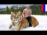 Los tigres del presidente ruso Vladimir Putin tienen atormentados a los chinos