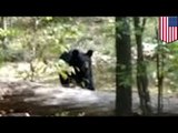 Hombre en New Jersey tomo fotos de un oso negro segundos antes de morir en sus garras