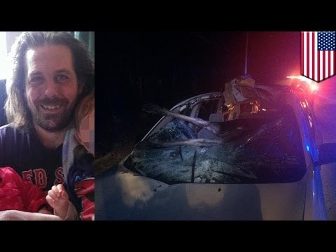 Hombre sale prácticamente ileso luego de chocar su auto contra un alce