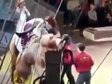 Its Fun Time with Camel