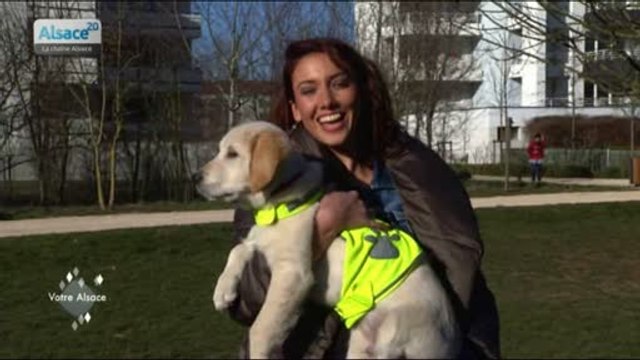 Votre Alsace, avec Delphine Wespiser : épisode 42