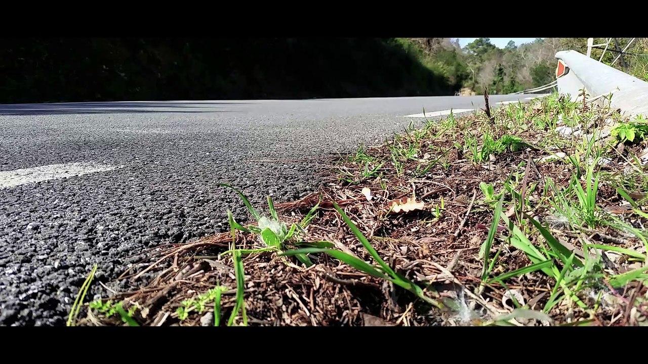 CINEPHONE 2015 : THE ROUTE