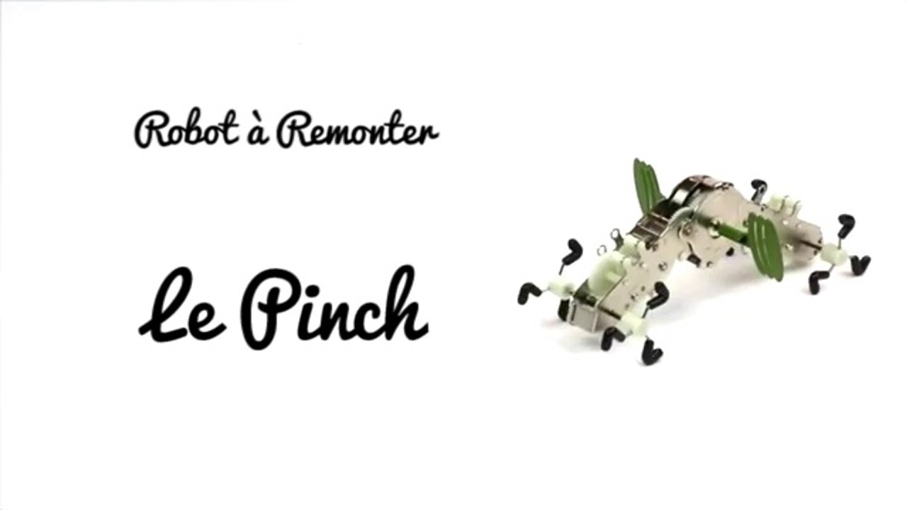 Robot à Remonter Le Pinch
