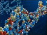 El codigo del ADN: Virus biologicos y digitales