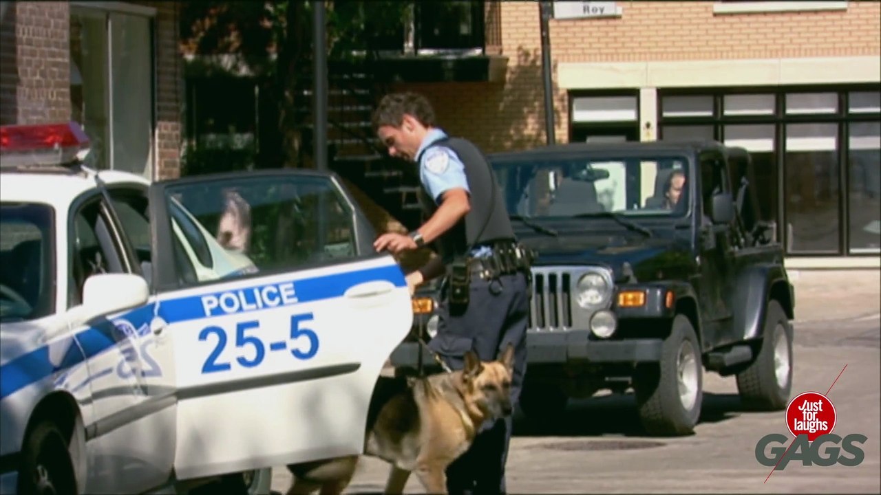 Worst Police Dog Ever!