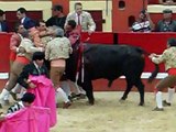 Portuguese Bullfighter gets owned