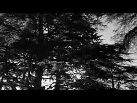 L'Eclipse de Michelangelo Antonioni