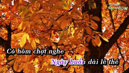 Nua Dem Ngoai Pho - Organ