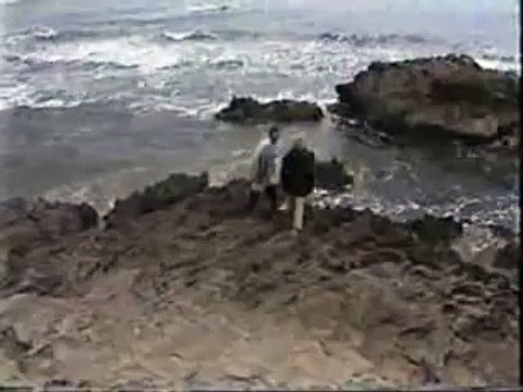 harold bishop drowns (neighbours)