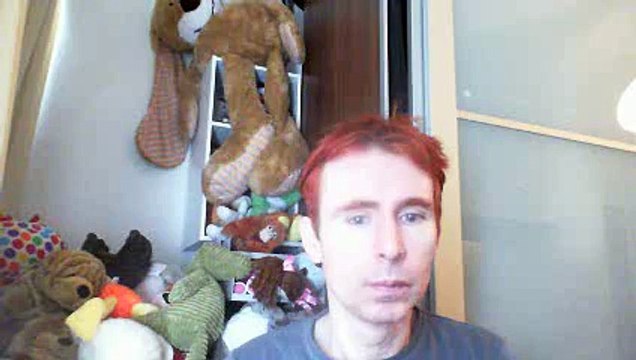 Wiwi égratigne dream baby dream de Bruce Springsteen