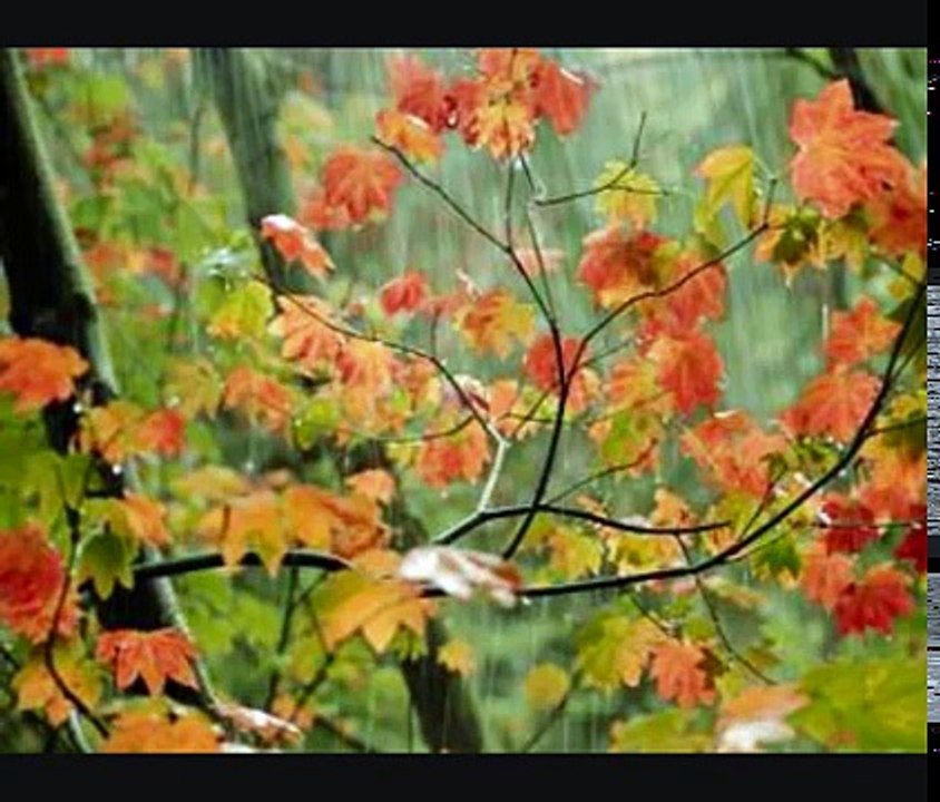 Yunus Emre Şiirleri - Düştü Gönlüme