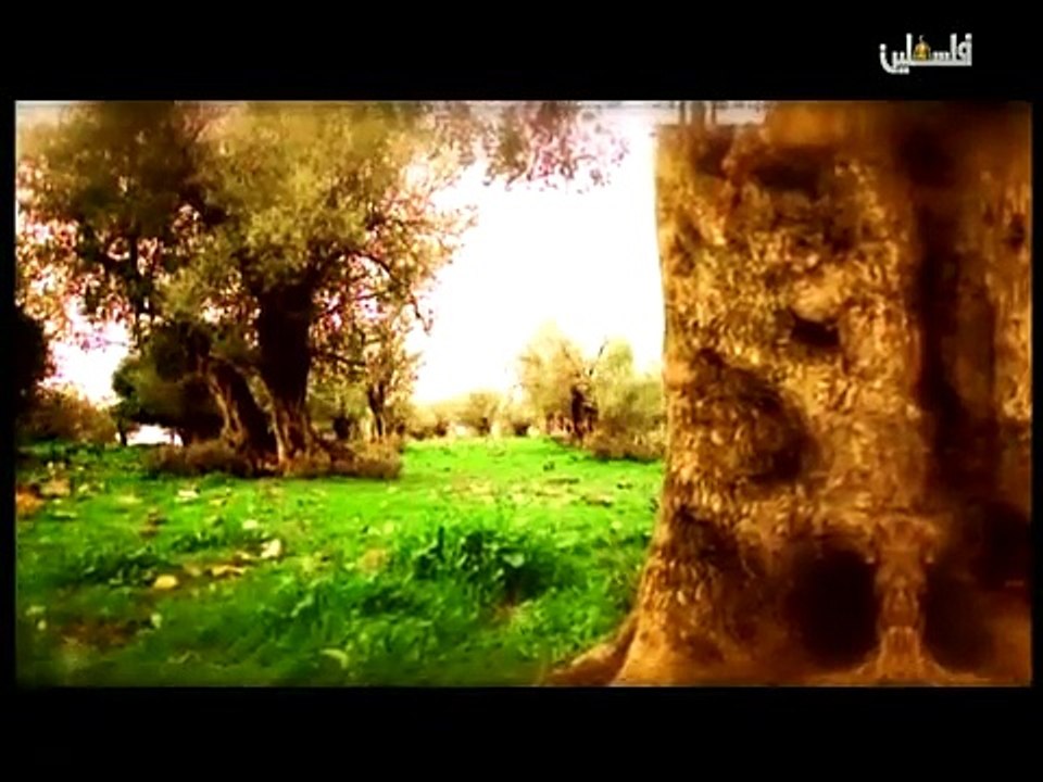 فلسطين هذا الصباح ج1 - 13/4/2015