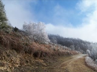 Photo d'un ado de 15 ans 📸