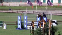 Dior  - Equitation / Jumper horse for sale