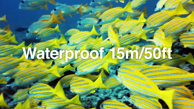 Présentation Olympus Stylus Tough TG-4