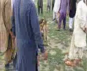 kutton ki larai attock 2015