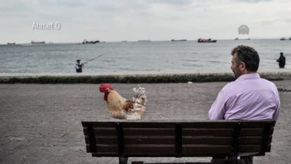 Multımedıa Web Documentary) - "Ahmet's Behlul"