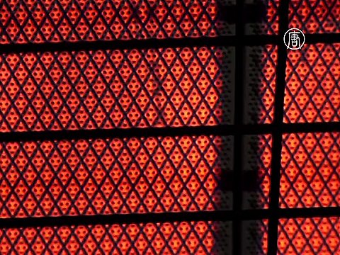 Студент сменил общежитие на хижину в лесу