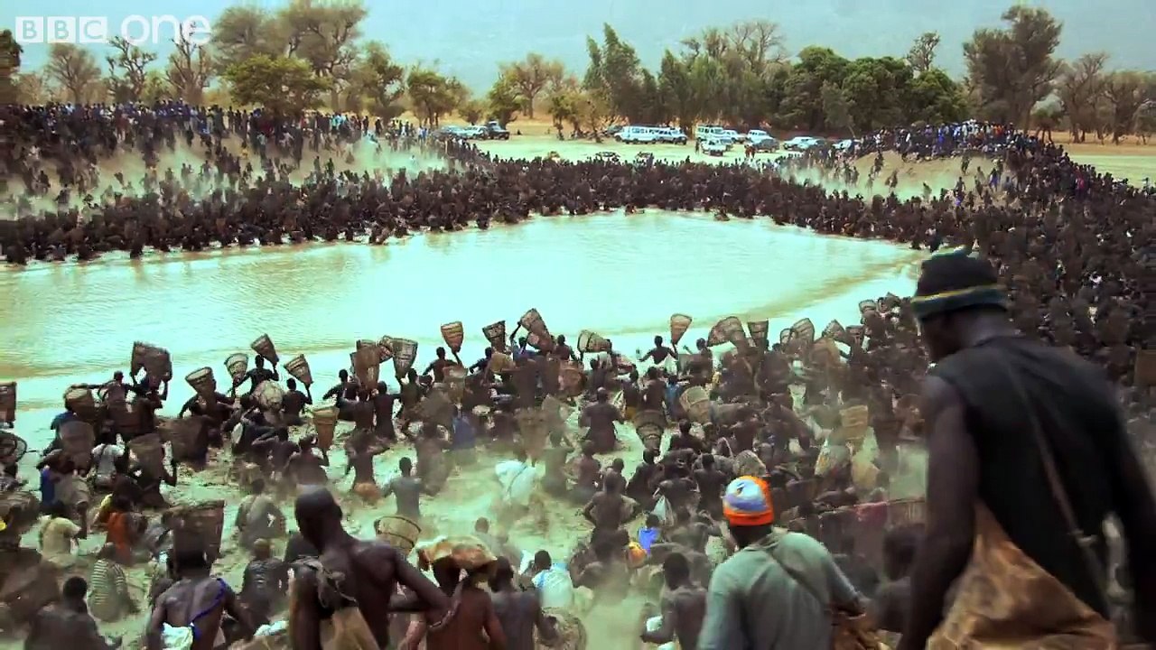 Thousands of fishermen empty lake in minutes - Human Planet: Deserts, preview - BBC One