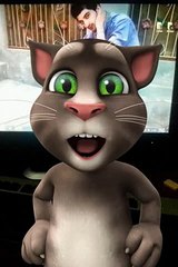 TalkingTomForMessenger(11).mp4