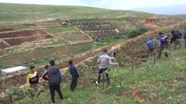 Silopi- Cudi Dağı'nın Bir Tarafında Kış, Diğer Tarafında Bahar Mevsimi Yaşanıyor