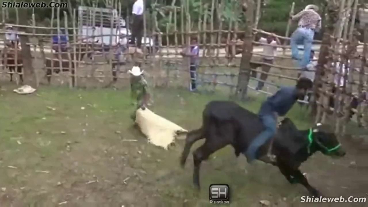 JARIPEO CHARRO DE RANCHO EN SAN GABRIEL LA CHINANTLA VERACRUZ MEXICO JINETES AFICIONADOS MONTAN TOROS MEDIANOS DEMOSTRANDO QUE SIN MIEDO Y MUCHA VALENTIA PUEDEN LOGRAR LA QUEDA EN CADA UNA DE LAS MONTAS QUE REALIZAN ABRIL 2015
