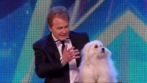 Marc Métral and his talking dog Wendy wow the judges - Audition Week 1 - Britains Got Talent 2015