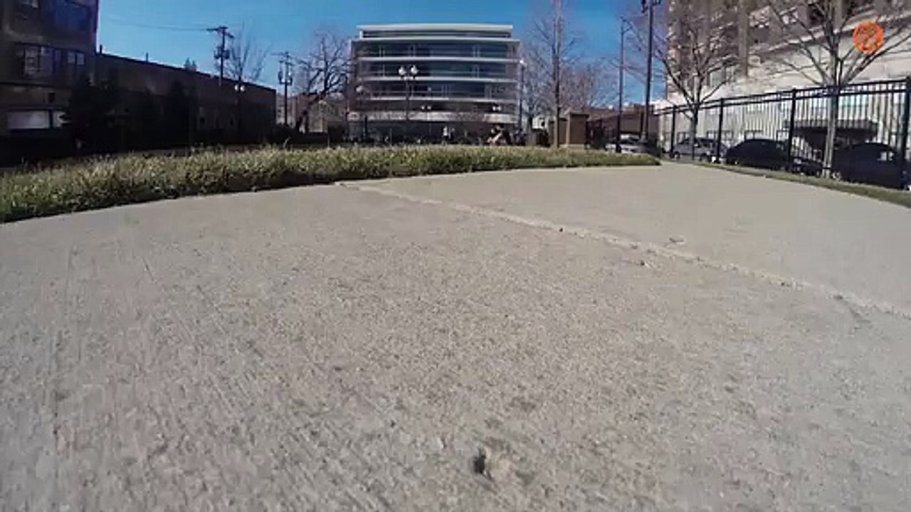 FAIL : une GoPro sur un moineau...