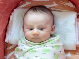 السنة الأولى للطفل من لا يعشقها