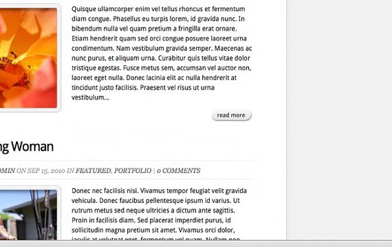 Using Page Templates on wordpress blog