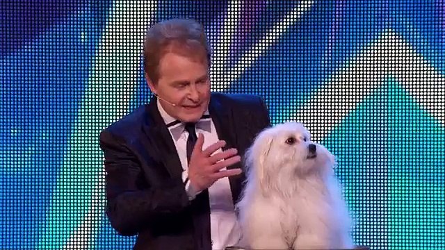 Britain's Got Talent's talking dog Miss Wendy 2015