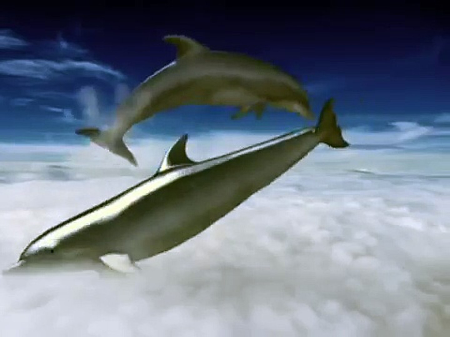 Jasdf 07 Cm 空にイルカいるか Dolphin Dolphin In The Sky Video Dailymotion