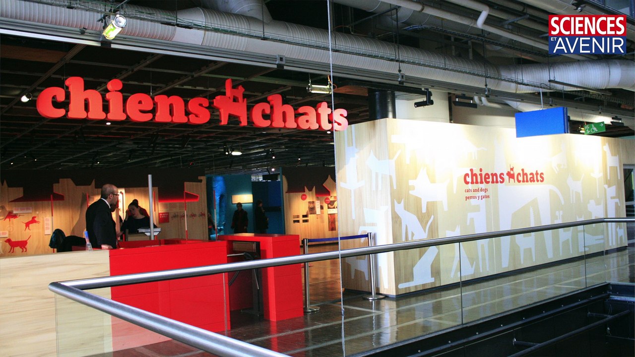 ANIMAUX. Chiens & chats, l'expo.