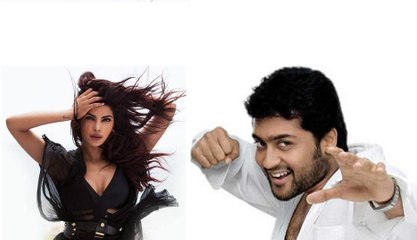 Priyanka Chopra pair with surya- 123 Cine news - Tamil Cinema News