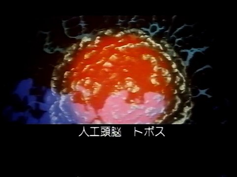 Zvjozdnyi inspektor / The Stellar Inspector / Звёздный инспектор 1980